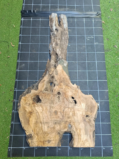 Plateau olivier brut Live Edge 140×80 cm – Réf. N°007