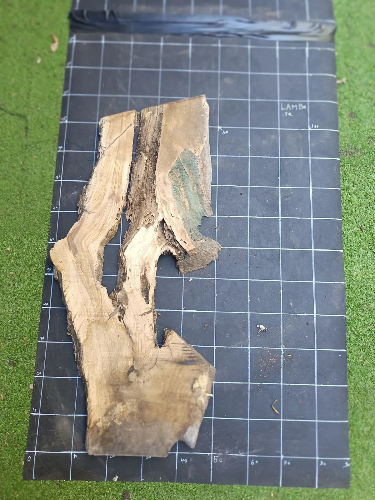 Plateau bois d'olivier brut à bord vivant 110×50 cm, réf N°023, sur tapis quadrillé 10 cm — recto