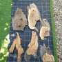 Plateau olivier brut Live Edge sur tapis quadrillé 10 cm
