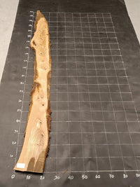 Planche bois d'olivier rabotée 2 cm à bord naturel, 180×28 cm, réf P25, sur tapis quadrillé 10 cm — recto