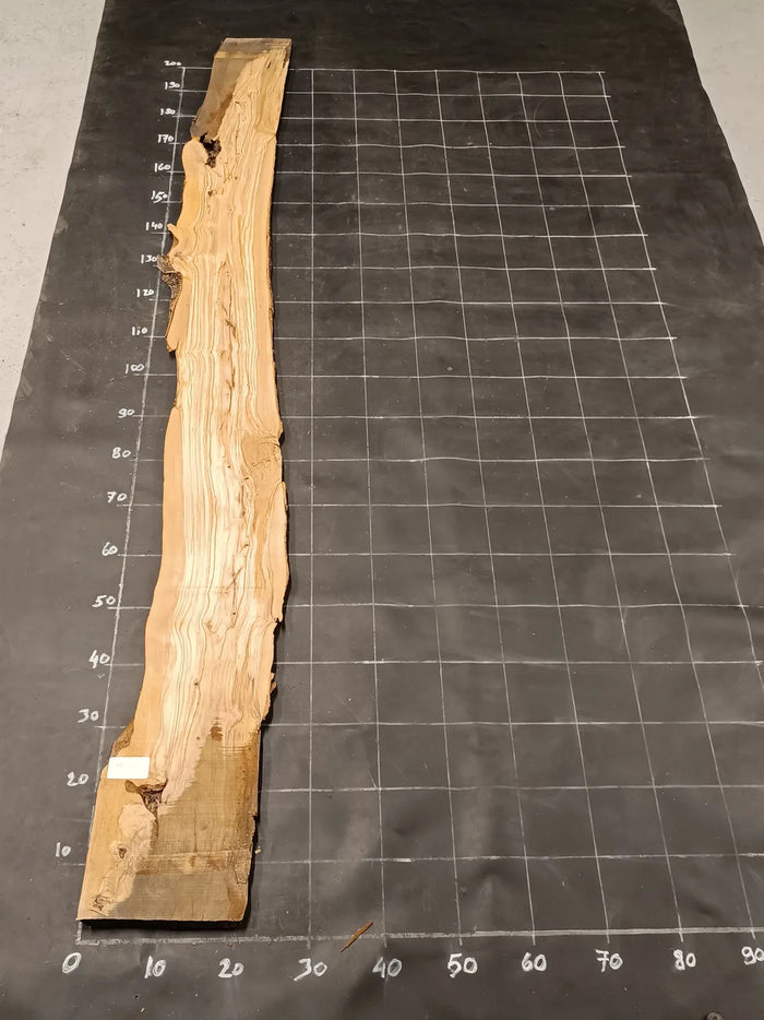 Planche en bois d'olivier rabotée 185×30 cm à bord naturel — pièce unique (P23)