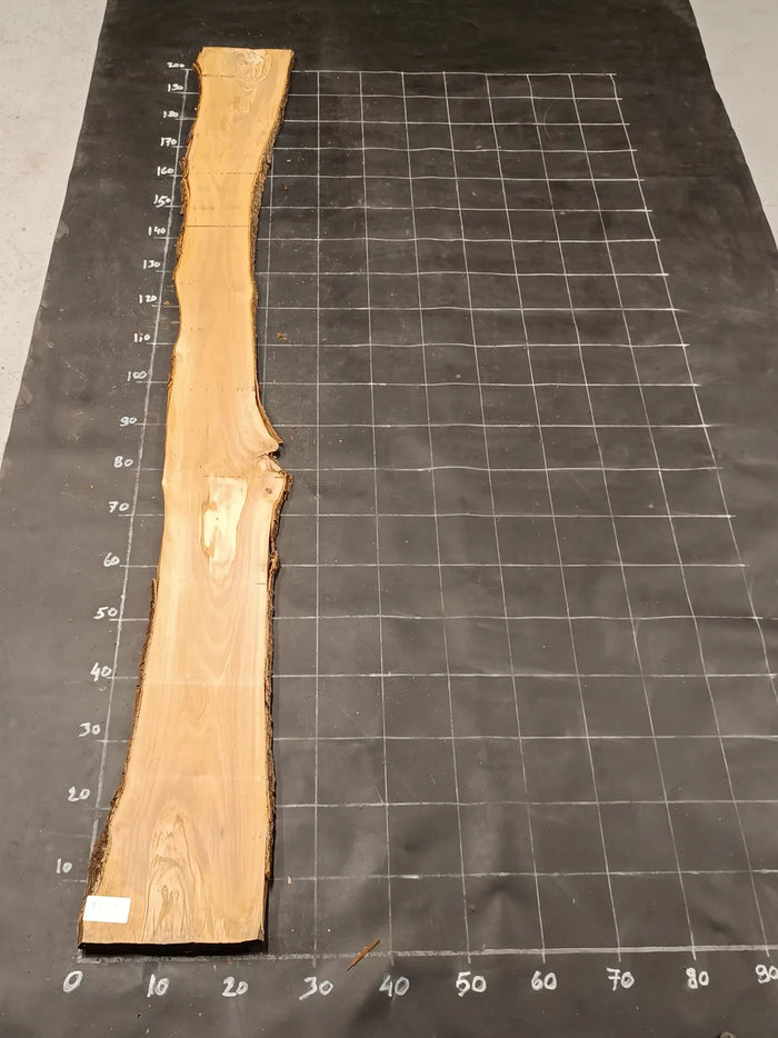 Planche en bois d'olivier rabotée 185×30 cm à bord naturel — pièce unique (P28)