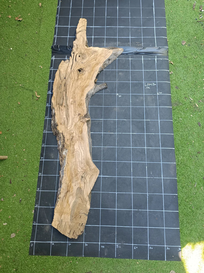 Plateau olivier brut Live Edge 160×40 cm – Réf. N°017