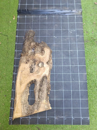 Plateau bois d'olivier brut à bord vivant 100×40 cm, réf N°022, sur tapis quadrillé 10 cm — recto