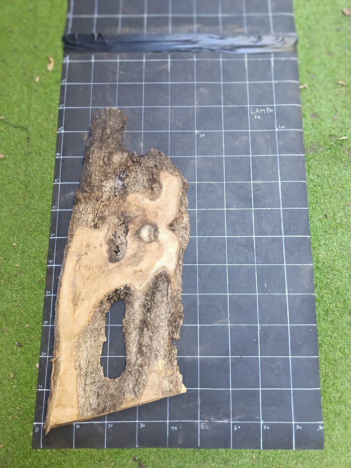 Plateau olivier brut Live Edge 100×40 cm – Réf. N°022