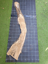 Plateau bois d'olivier brut à bord vivant 200×30 cm, réf N°024, sur tapis quadrillé 10 cm — recto