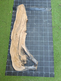 Plateau bois d'olivier brut à bord vivant 150×40 cm, réf N°026, sur tapis quadrillé 10 cm — recto