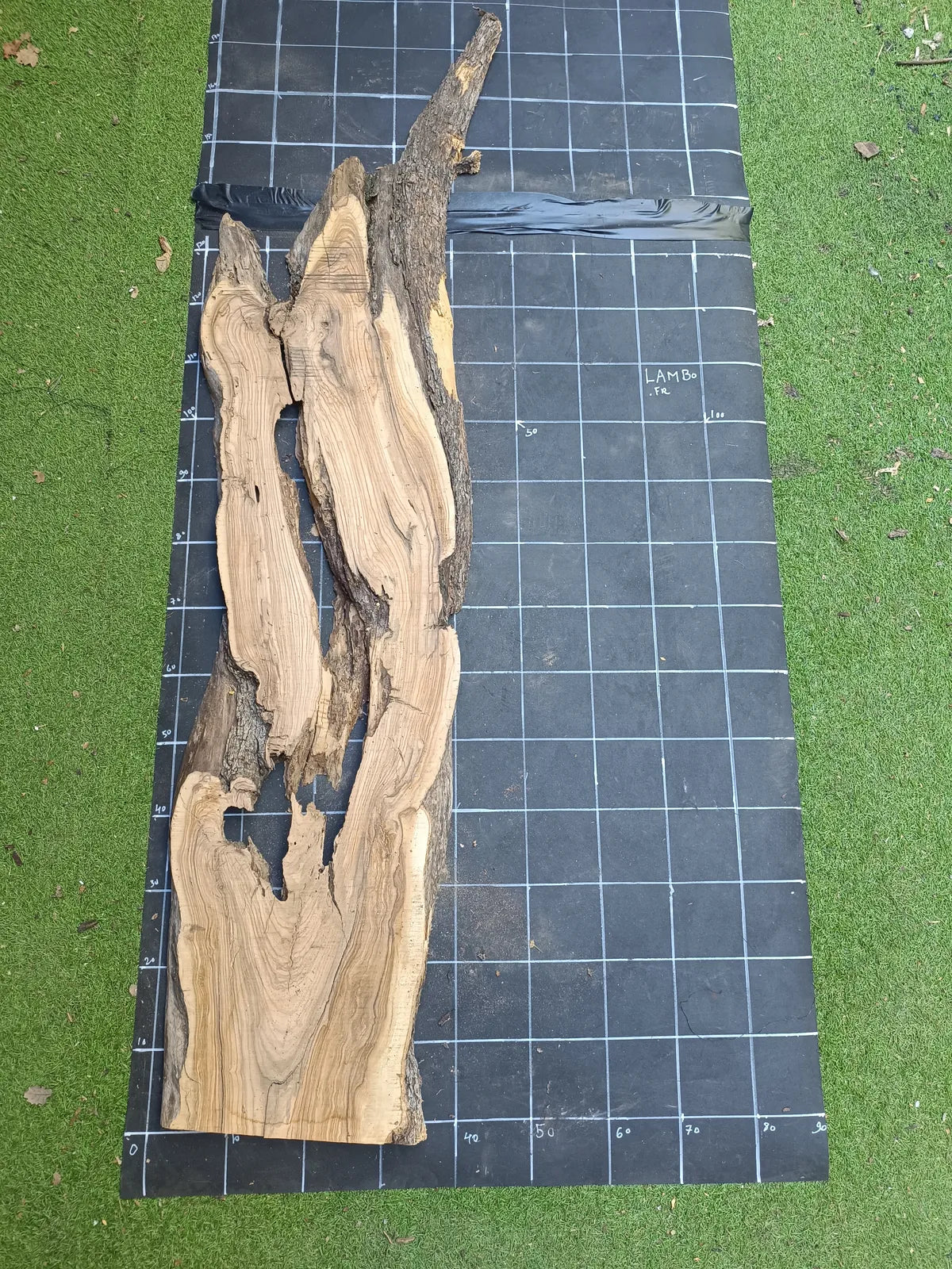 Plateau bois d'olivier brut à bord vivant 150×40 cm, réf N°028, sur tapis quadrillé 10 cm — recto